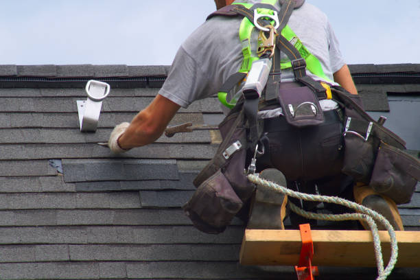Best Residential Vinyl Siding Installation  in Morris Plains, NJ