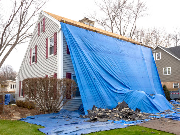 Best Insulated Siding Installation  in Morris Plains, NJ