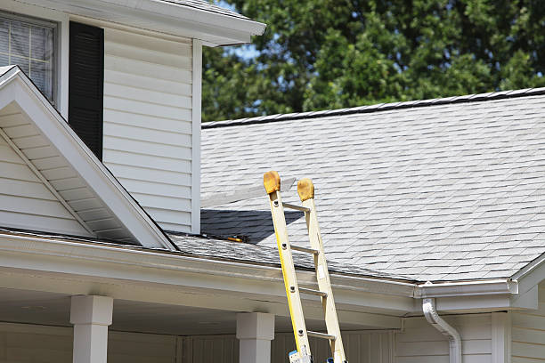 Best Aluminum Siding Installation  in Morris Plains, NJ