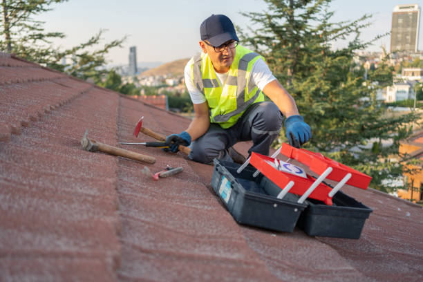 Best Wood Siding Installation  in Morris Plains, NJ
